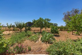 Villa dei Primi