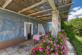 Le Cernicole