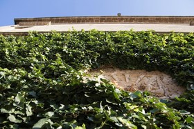 Masseria Baroni Nuovi