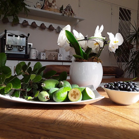 Il Cerchio d'Acqua Bed And Breakfast