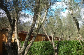 Agriturismo Lu Podere