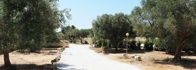 La Trottoria