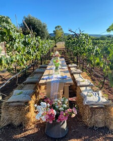 Masseria Montenapoleone
