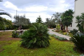 Masseria San Martino