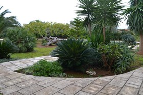 Masseria San Martino