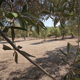 Masseria Le Pajare