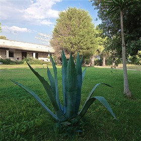 Masseria Le Pajare