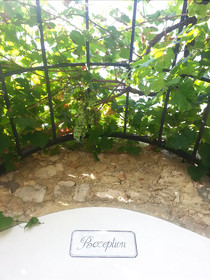 Tenuta De Marco
