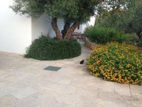 Tenuta De Marco