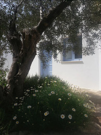 Tenuta De Marco