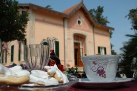 Tenuta Colavecchio
