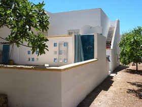 Il Gabbiano