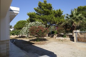 Il Gabbiano
