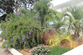 Residence Salenthouse