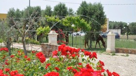 Agriturismo Casale San Giovanni