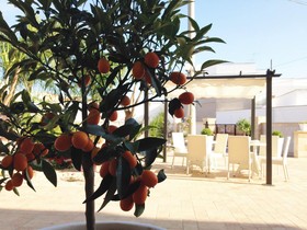 Hotel Villa Leuzzi