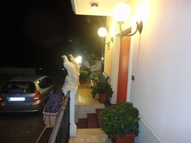 Carriera