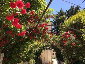 Parco Delle Rose