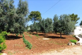 Trulli Chef Marco