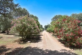 Villa Calipso