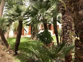 Villa Donna Adriana