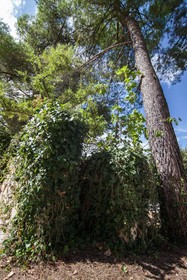 Hotel Murgia