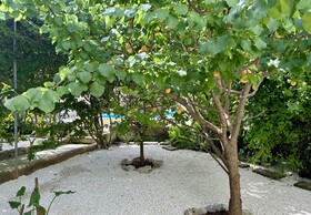 B&B Don Alessandro
