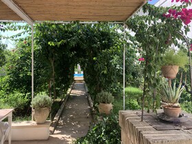 B&B Don Alessandro