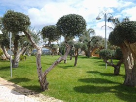 Masseria Grande