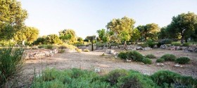 B&B Villa delle Palme