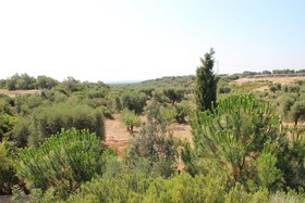 Bioagriturismo Masseria Sciaiani Piccola