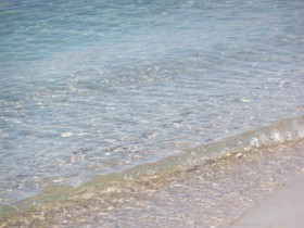 Agriturismo Il Pavone