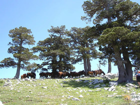 Hotel Sette e Mezzo