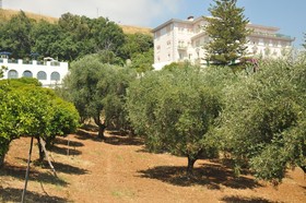 Grand Hotel San Michele