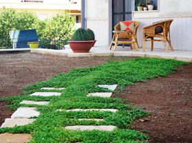 B&B Vigna Del Duca