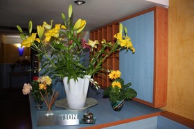 Albergo La Coccinella