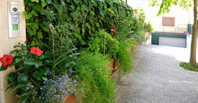 B&B President's Home