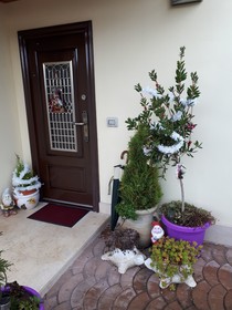 Bed & Breakfast Angolo Felice