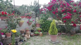 Bed & Breakfast Angolo Felice