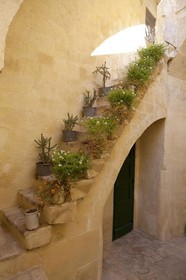 Bed & Breakfast L'Arturo