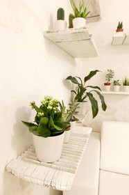 Bed & Breakfast L'Arturo