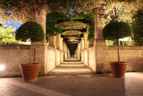 Del Campo