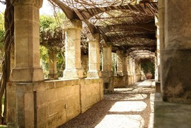 Del Campo