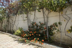 Il Crusco Bed&Breakfast