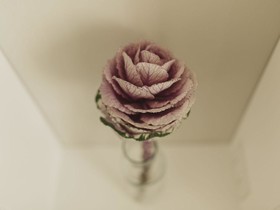 Livingstone Bed & Breakfast