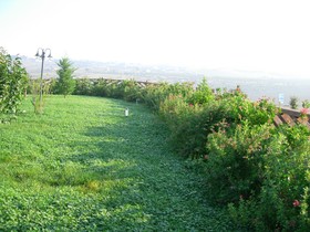 Terra dei Sassi