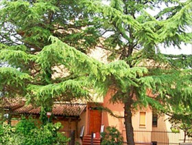 Villa Rossana