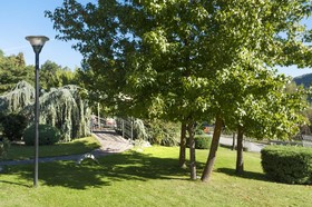 Bouganville