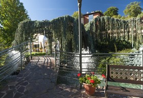Bouganville