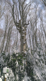 Casa Vacanze Margherita